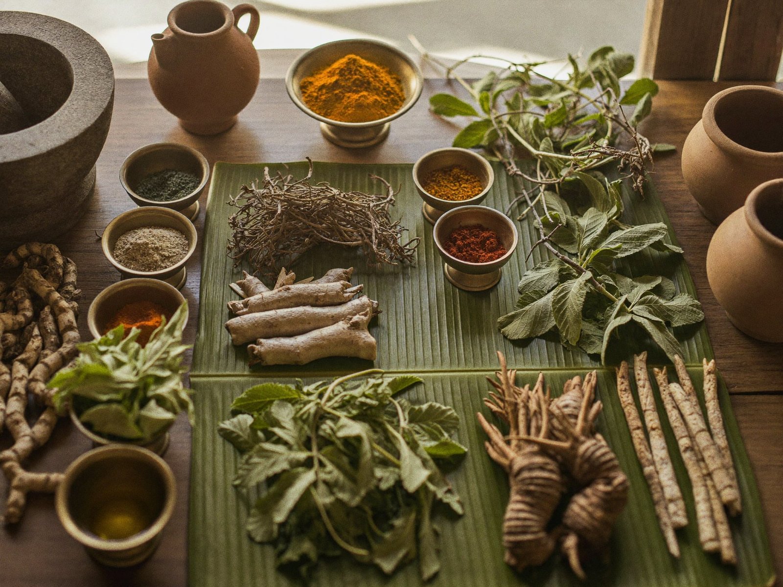 Fresh green medicinal leaves used in Ayurvedic preparations